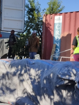 WhatsApp Image 2024-11-18 at 13.13.29 (1)